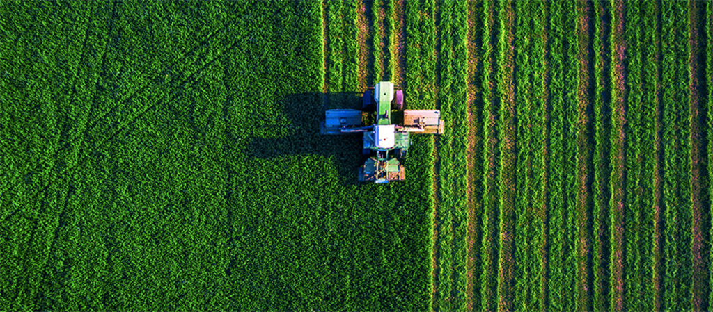 machine sowing field